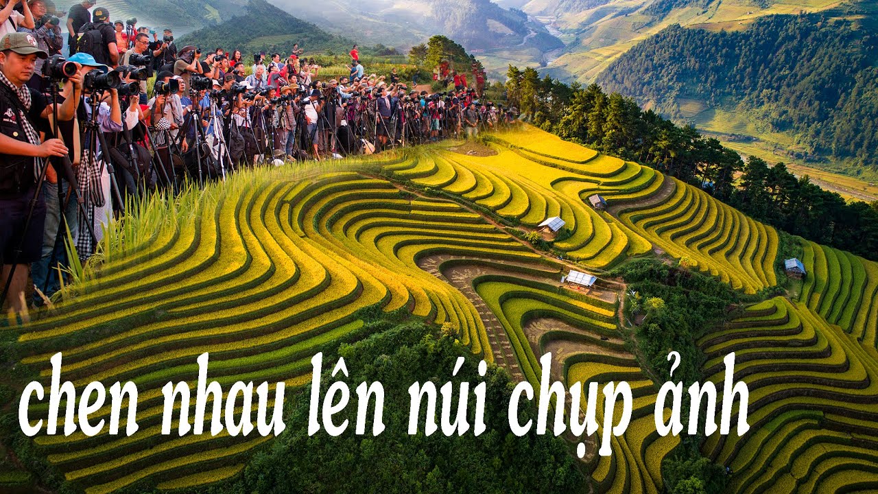 View chụp ảnh Hot nhất M&ugrave; Cang Chải  - V&otilde;ng L&uacute;a S&aacute;ng Nh&ugrave; -FLYCAM