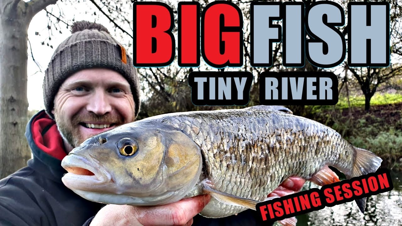 Fishing a river for BIG fish | Fishing for Chub | Fishing with bread | Rob Wootton