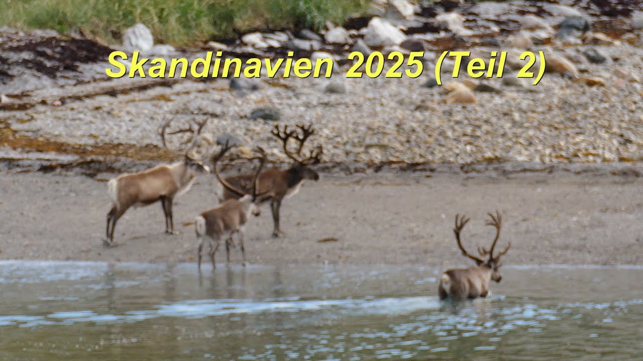 Skandinavien 2025 Teil 2 - Ein Rückblick auf unsere Tour