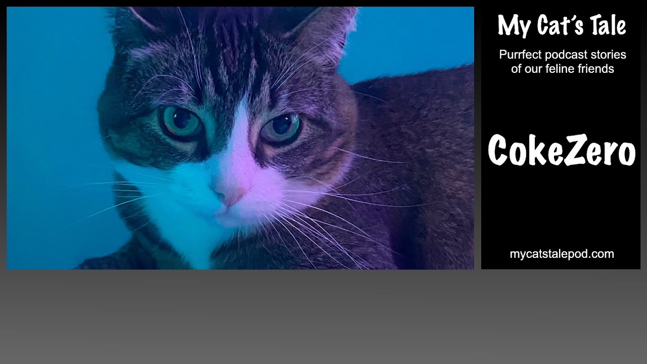 My Cat's Tale: CokeZero