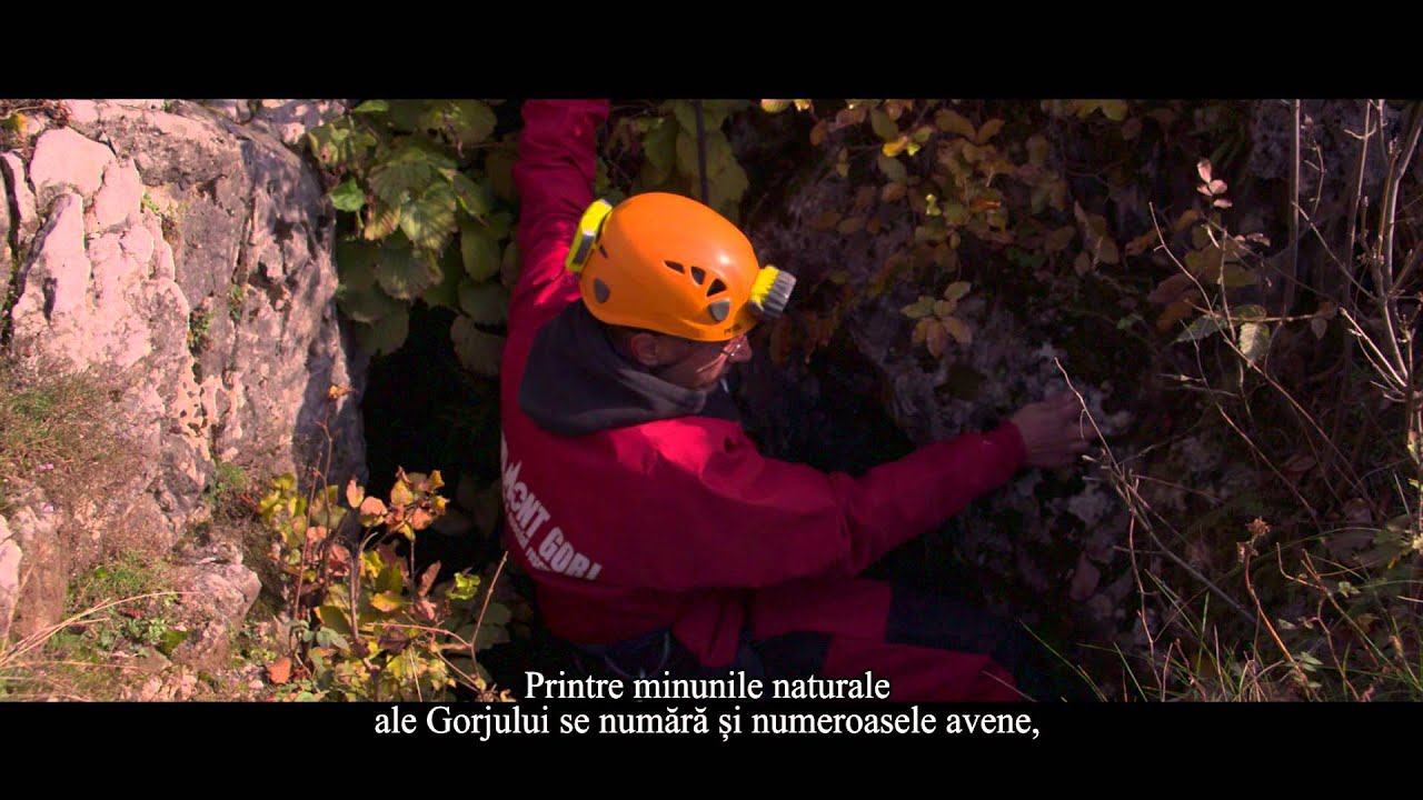 Film Prezentare Gorj