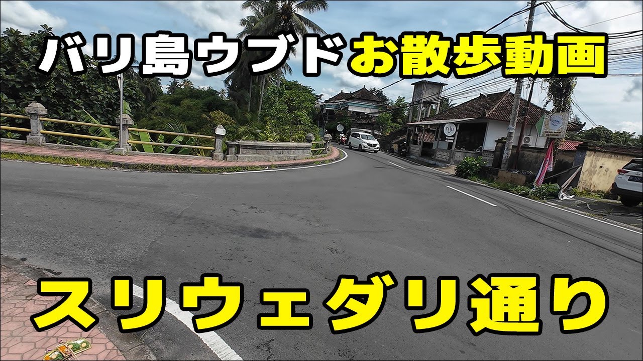 【バリ島ウブドお散歩動画】スリウェダリ通りその２