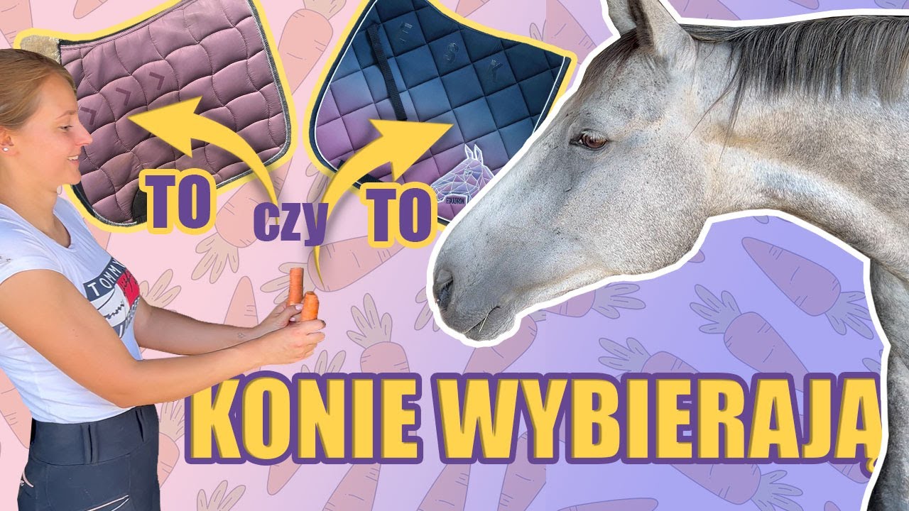 KONIE DECYDUJĄ O MOIM DNIU W STAJNI 🐎 - DAILY #3