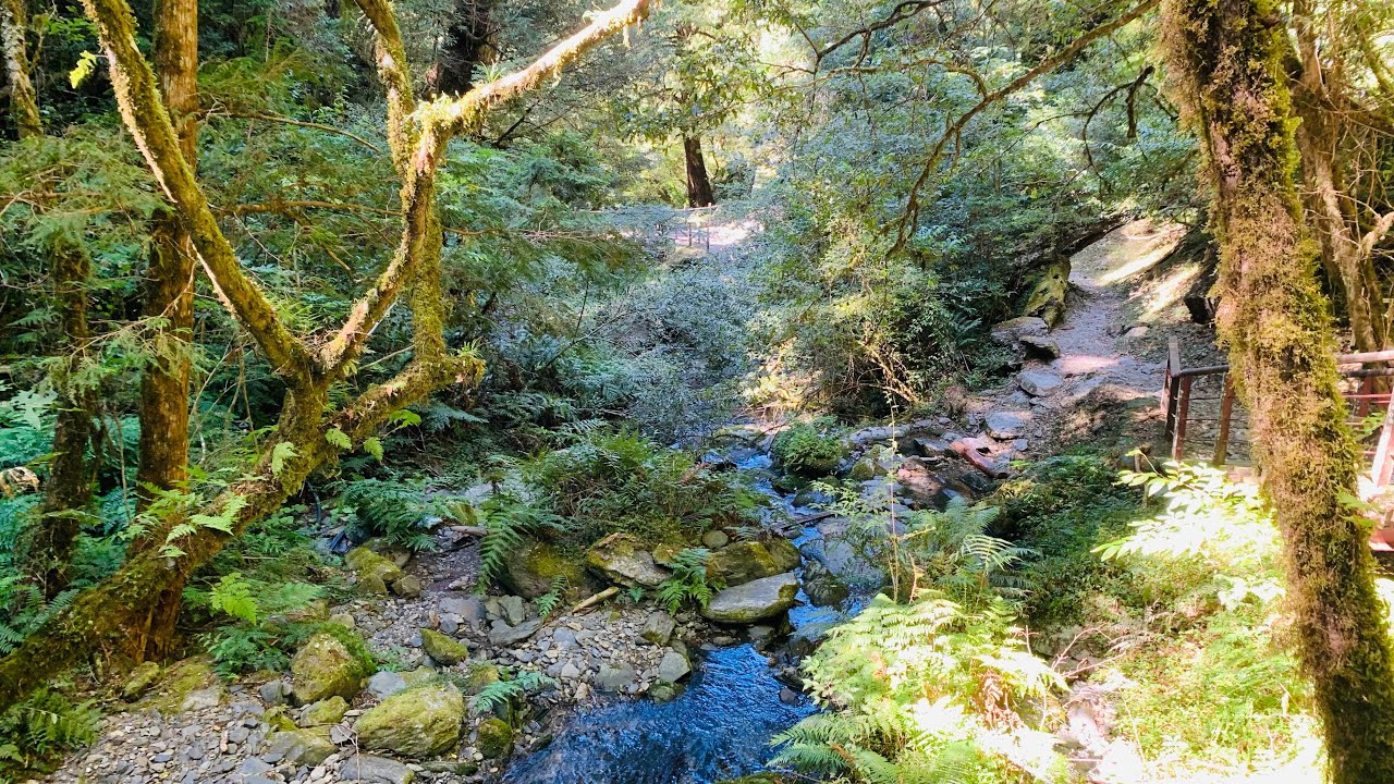 114.10.9 再見拉拉山