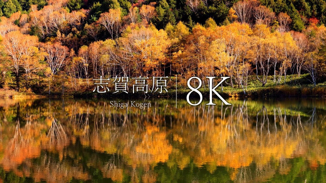 【志賀高原 8K】秋に行きたい長野の紅葉絶景 8選 - Japan in 8K