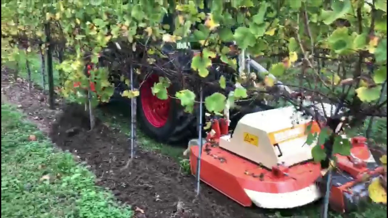 VPA Braun (Vineyard Pilot Assistant)