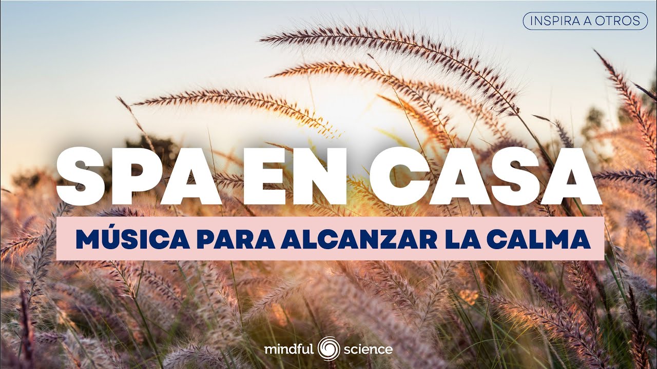 🎧MÚSICA PARA RELAJAR TU MENTE: MEJORA TU ENFOQUE Y PRODUCTIVIDAD➡ 50 MINUTOS de TRANQUILIDAD💙
