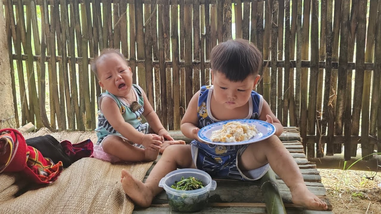 The single mother went to buy corn seeds to plant and cook dinner for her children - lý thi My