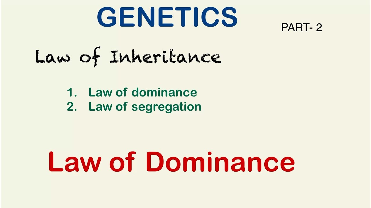 	Principle of Inheritance | Test Cross, Back Cross & Reciprocal Cross Explained