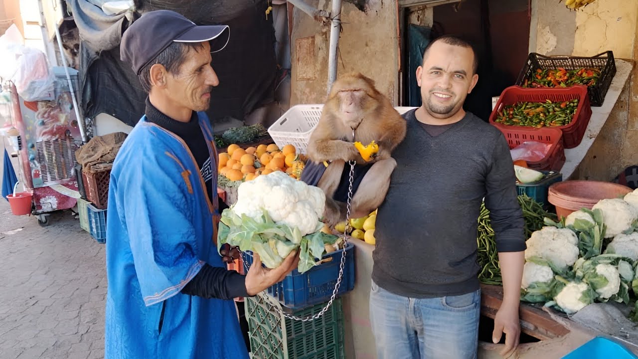 دوزنا نهار مطرطق انا و عويشتي/الحمد لله ربي كبير عندو كل خير💛