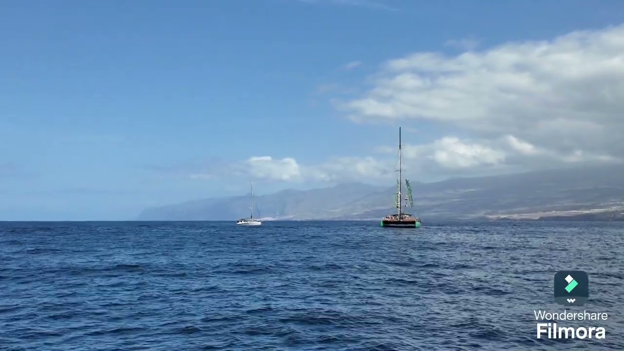 Cum e o excursie pe Ocean in tenerife? Am fost sa vedem Balene Delfini ..