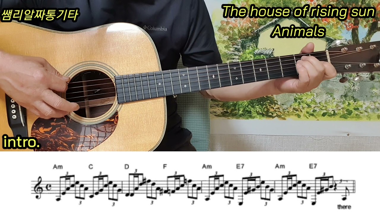 #The house of rising sun-animals-(Am key 8/12 slow rock arppegio)