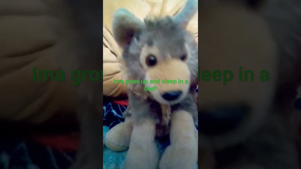Wolfies full room your at 20 likes!! #cute  #wolf #why #roomtour