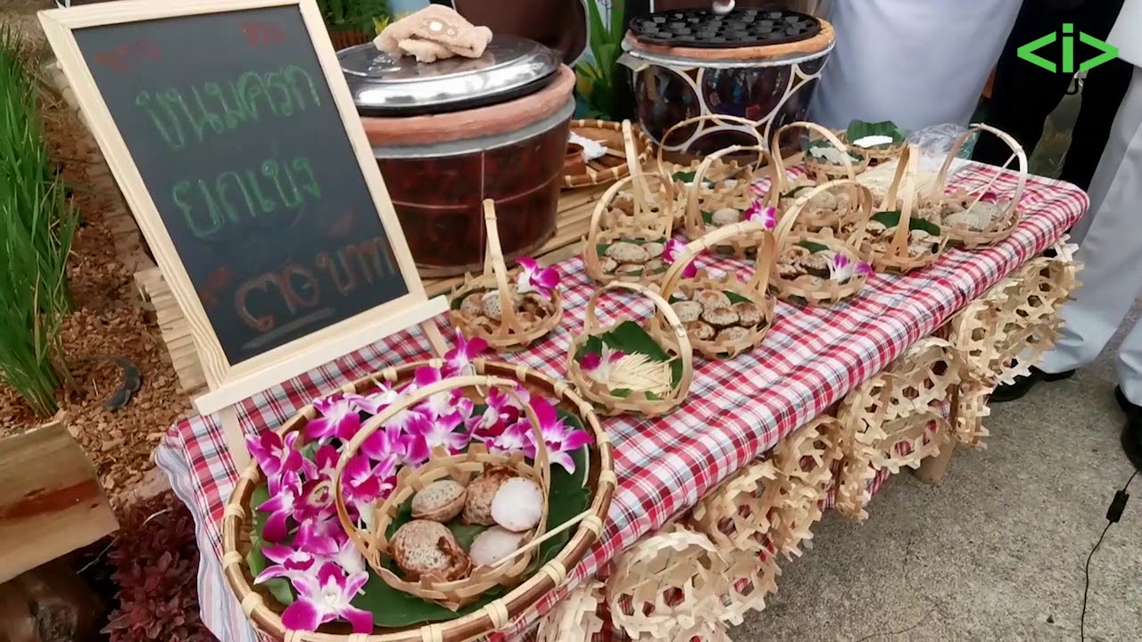 IPUX Organic & Smart Farming The Rice and Farmer Day in Thailand