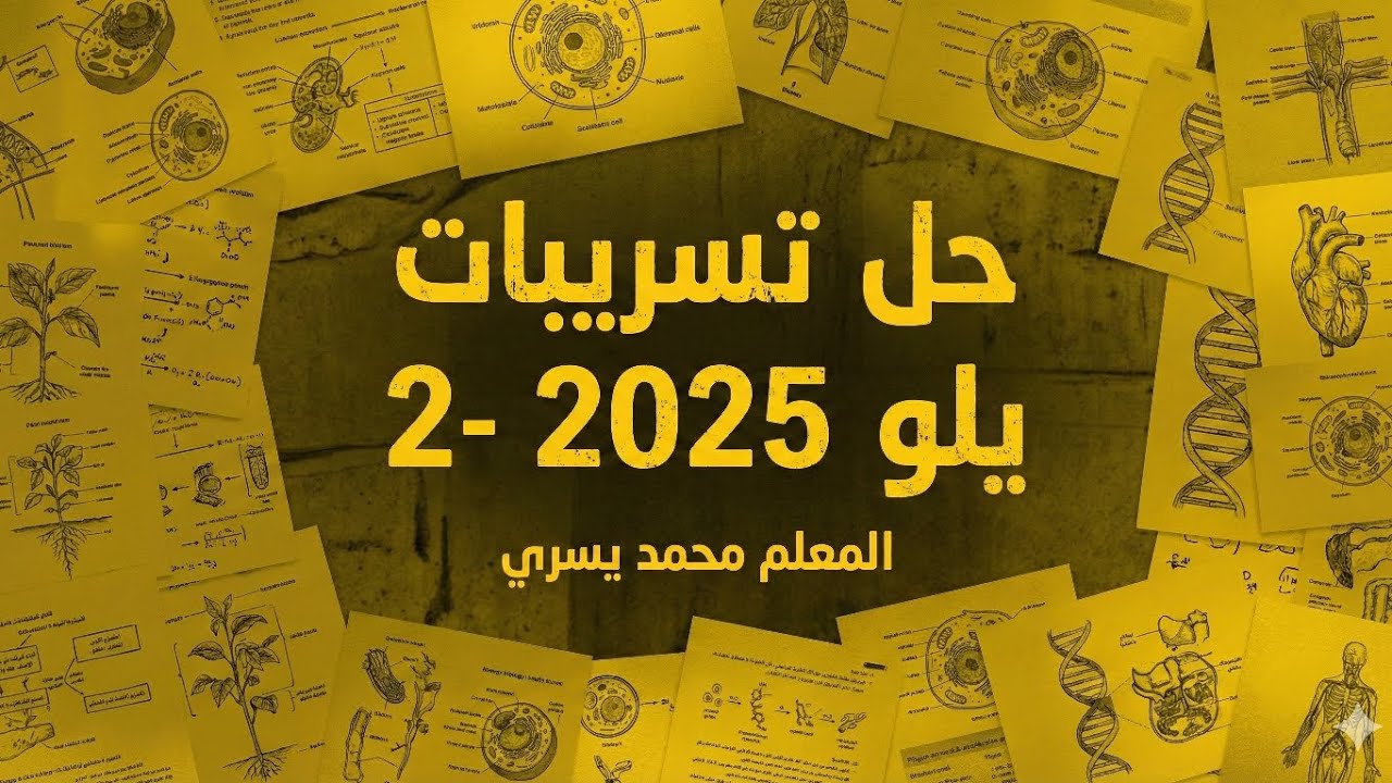 تسريبات يلو 2025-2