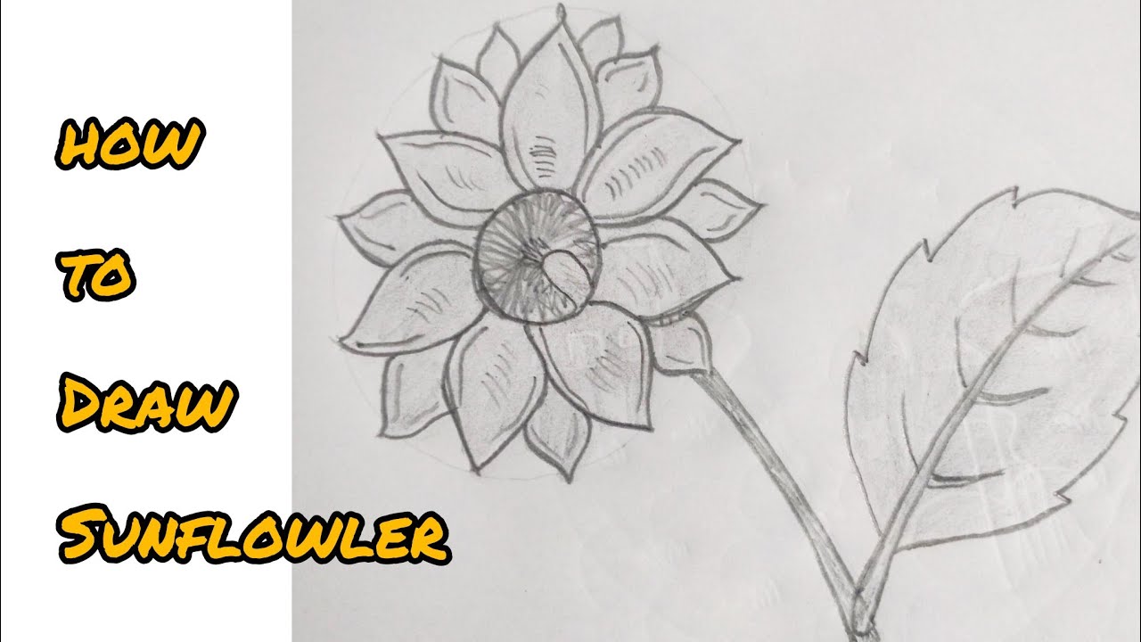 How to draw a Sunflower Easy way | সূর্যমুখী ফুল সহজে আঁকি | Art in lines