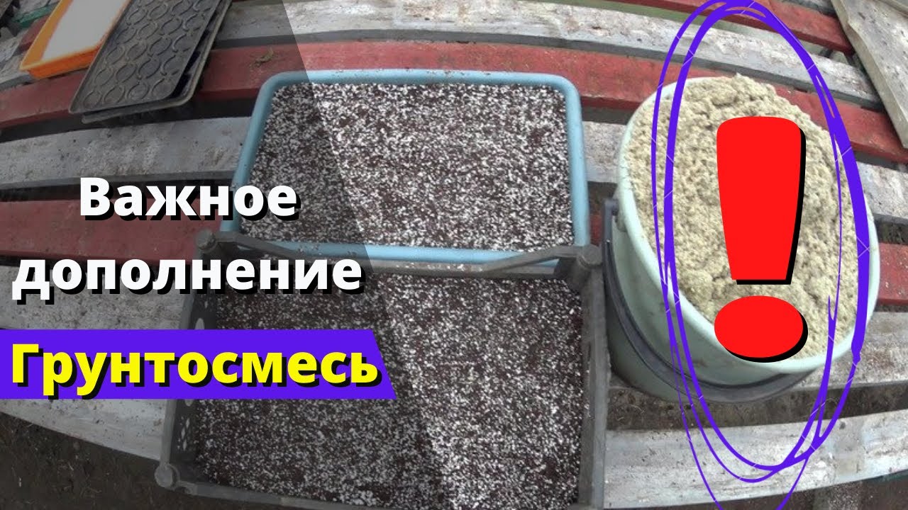 Сделайте это... и снизится вероятность загнивания растений при укоренении.