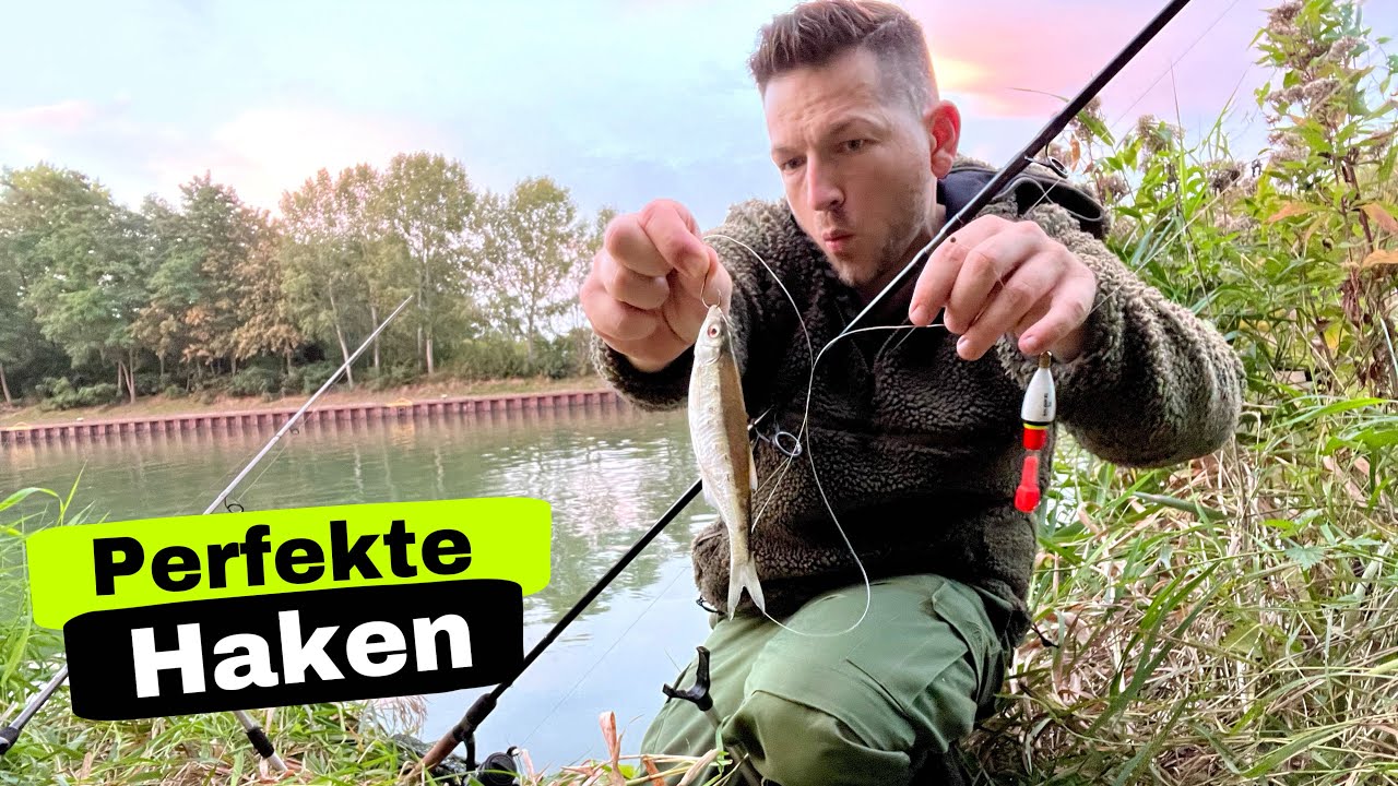 Maßige Kanal Zander mit Köderfisch und Pose?Überraschendes Ende.