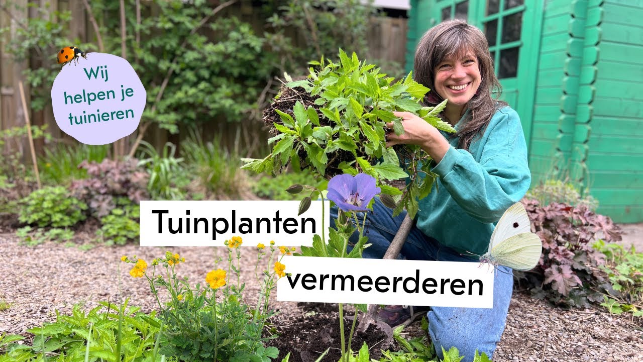 Gratis meer tuinplanten? Zo doe je dat! 🌿🌸