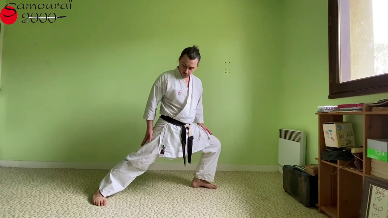 travail de hanche karaté