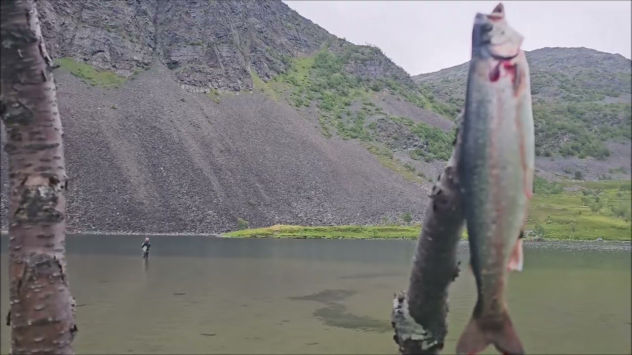Fluefiske,det gode liv i Gamvik kommune