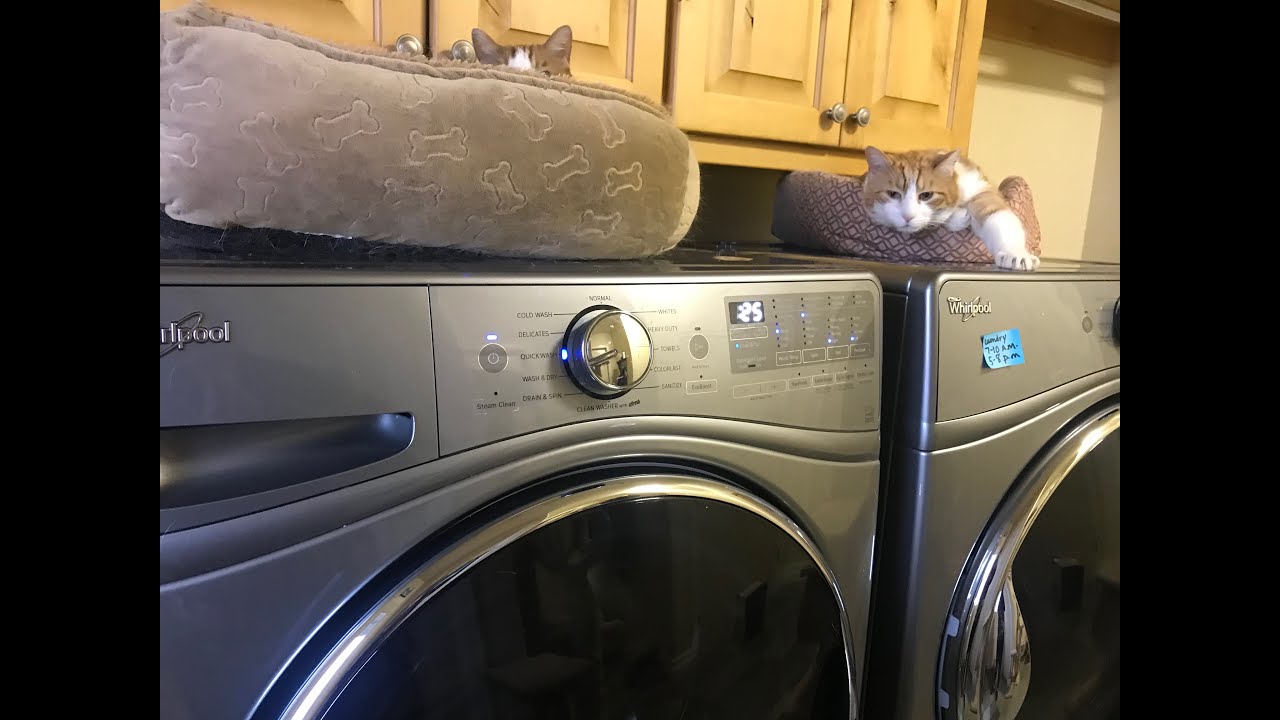 Whirlpool Washer Front Loader Door Leaking Water