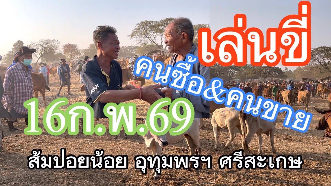 คนซื้อกับคนขายเล่นขี่#16ก.พ.69 ส้มป่อยน้อย