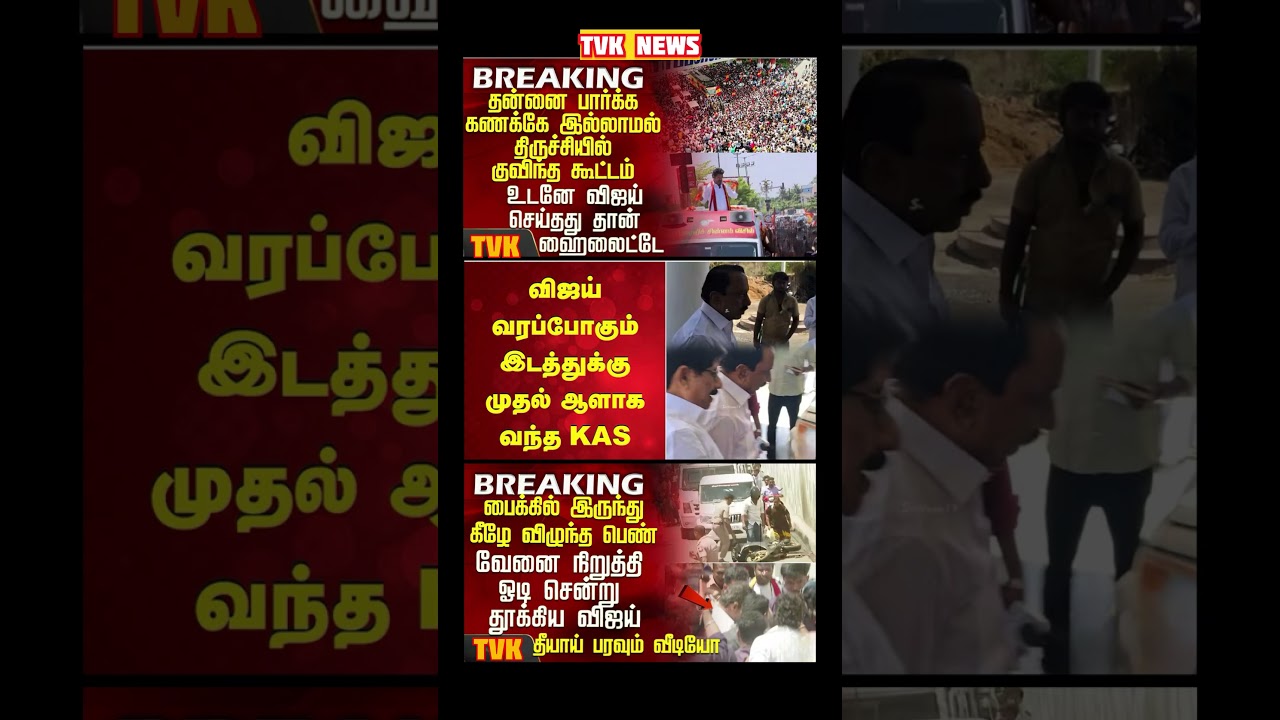 TVK Thalapathy vijay anna || #tvk#dmk#admk#congress#bjp#breakingnews#news#thalapathy#fyp