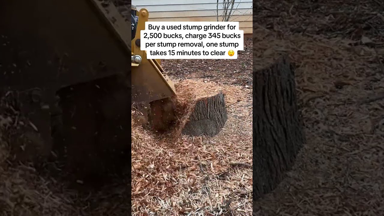 STUMP GRINDING #shorts #makemoney #business #businessideas #tree #grinding #moneytips #stumpgrinding