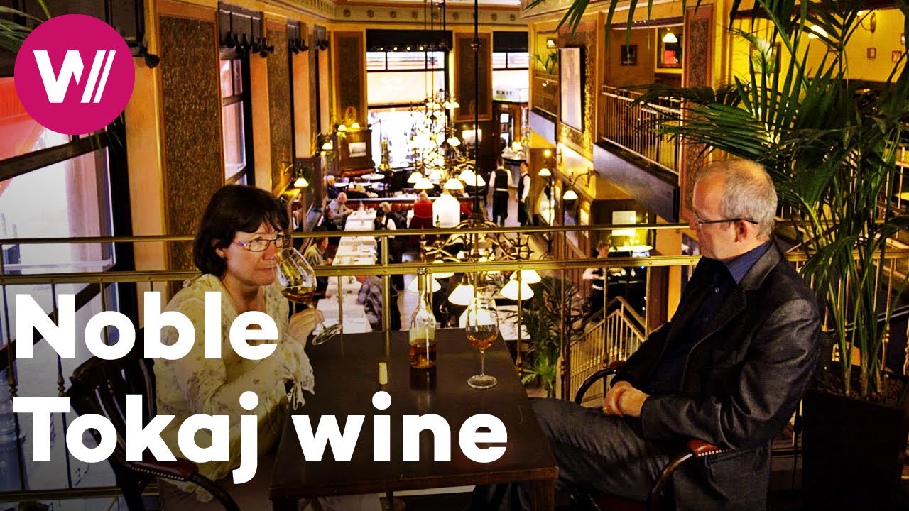 Hungary - The wine of European royals and intellectuals | Worldwide Wine Civilizations
