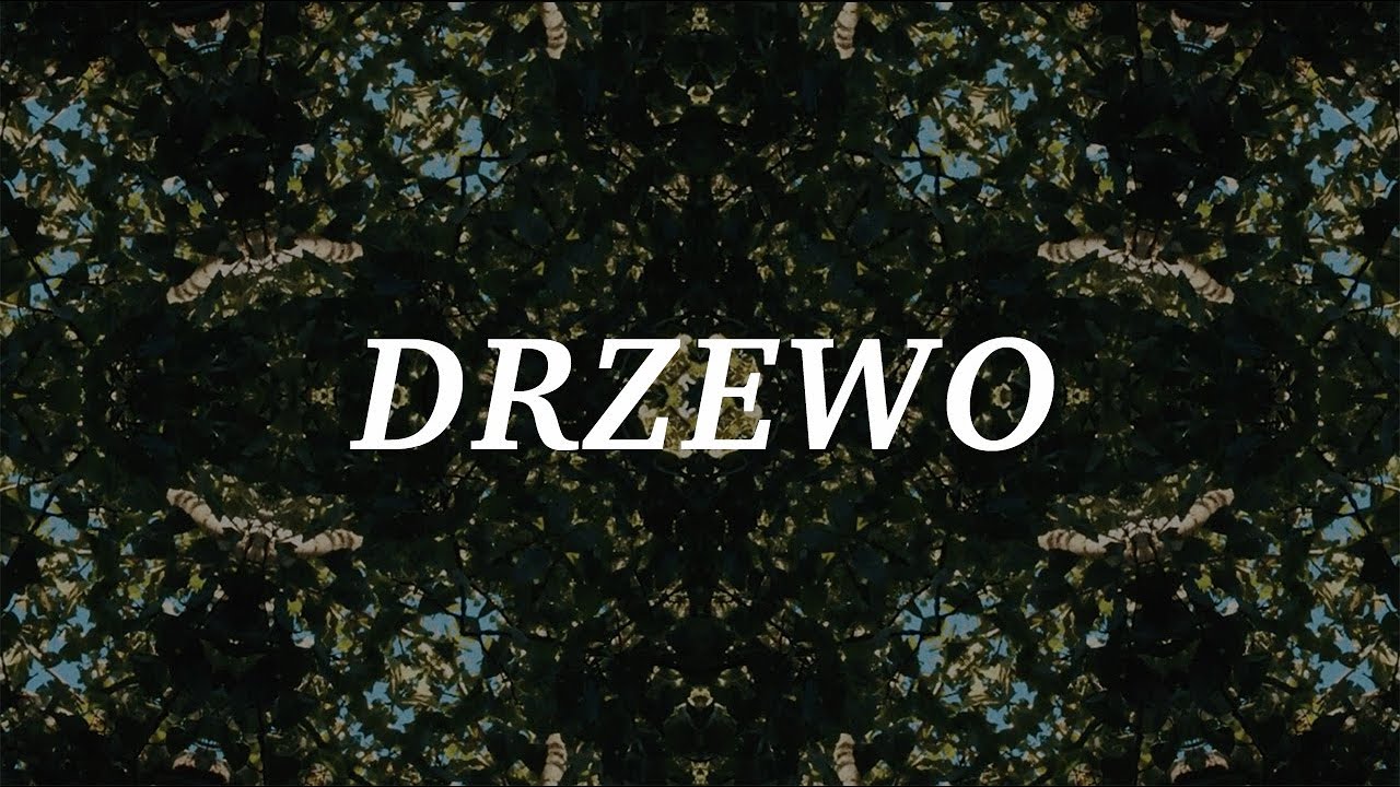 CSM/worship – Drzewo