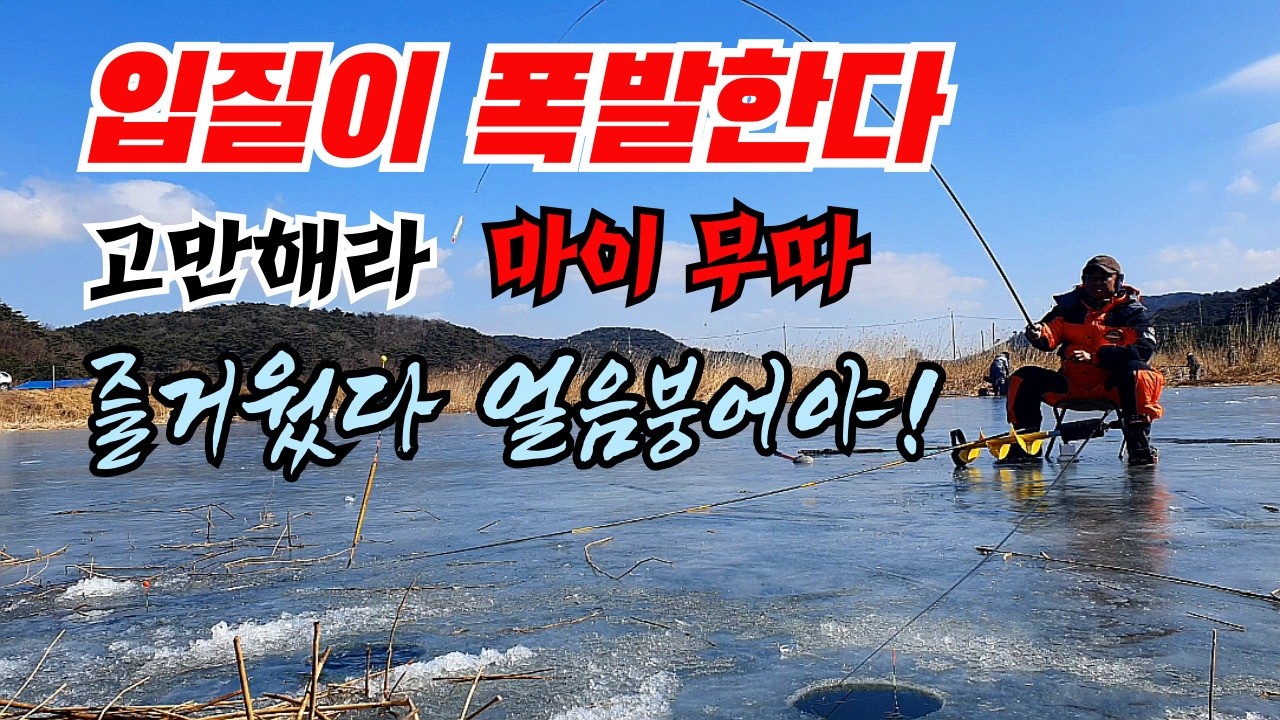 입질 폭발 더 이상은 안돼! 고마해라  많이무따