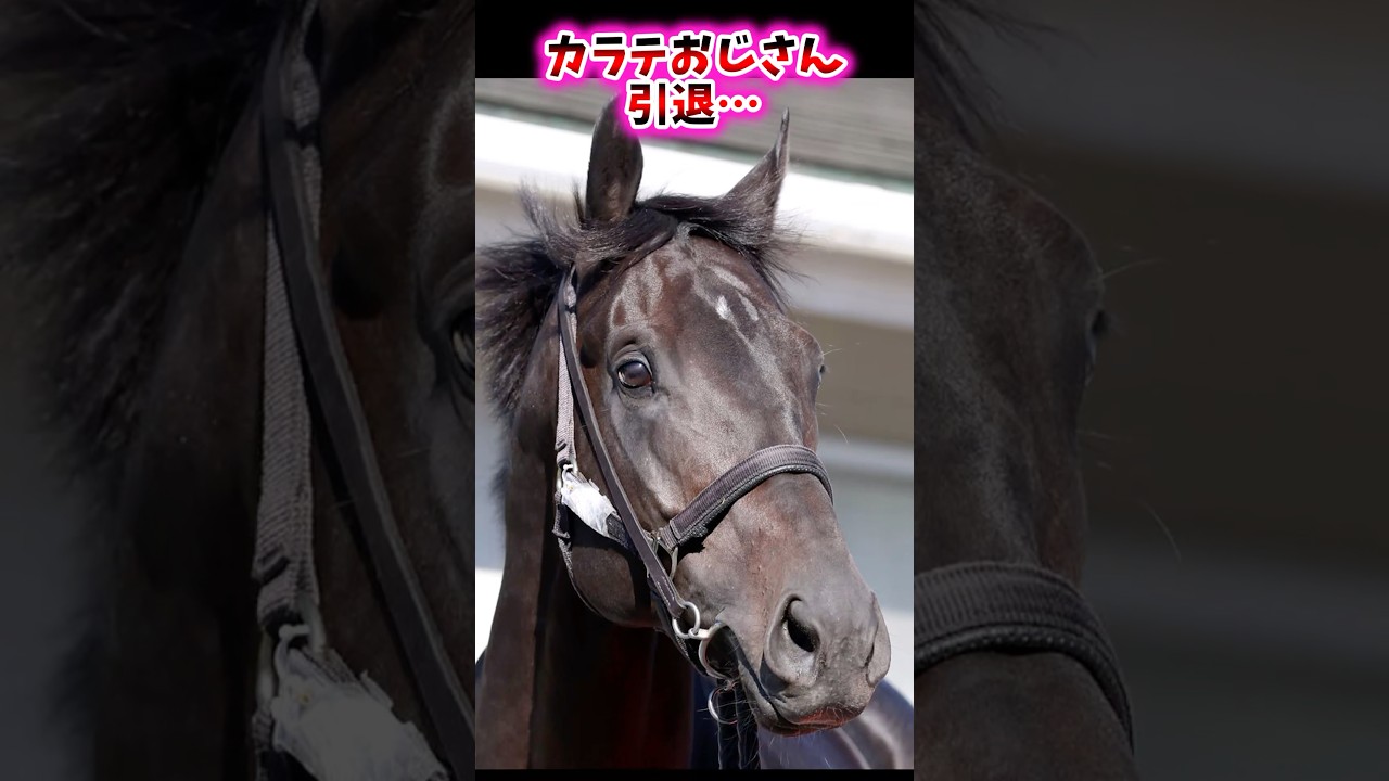 カラテおじさん引退&hellip;【競馬反応集】 #カラテ