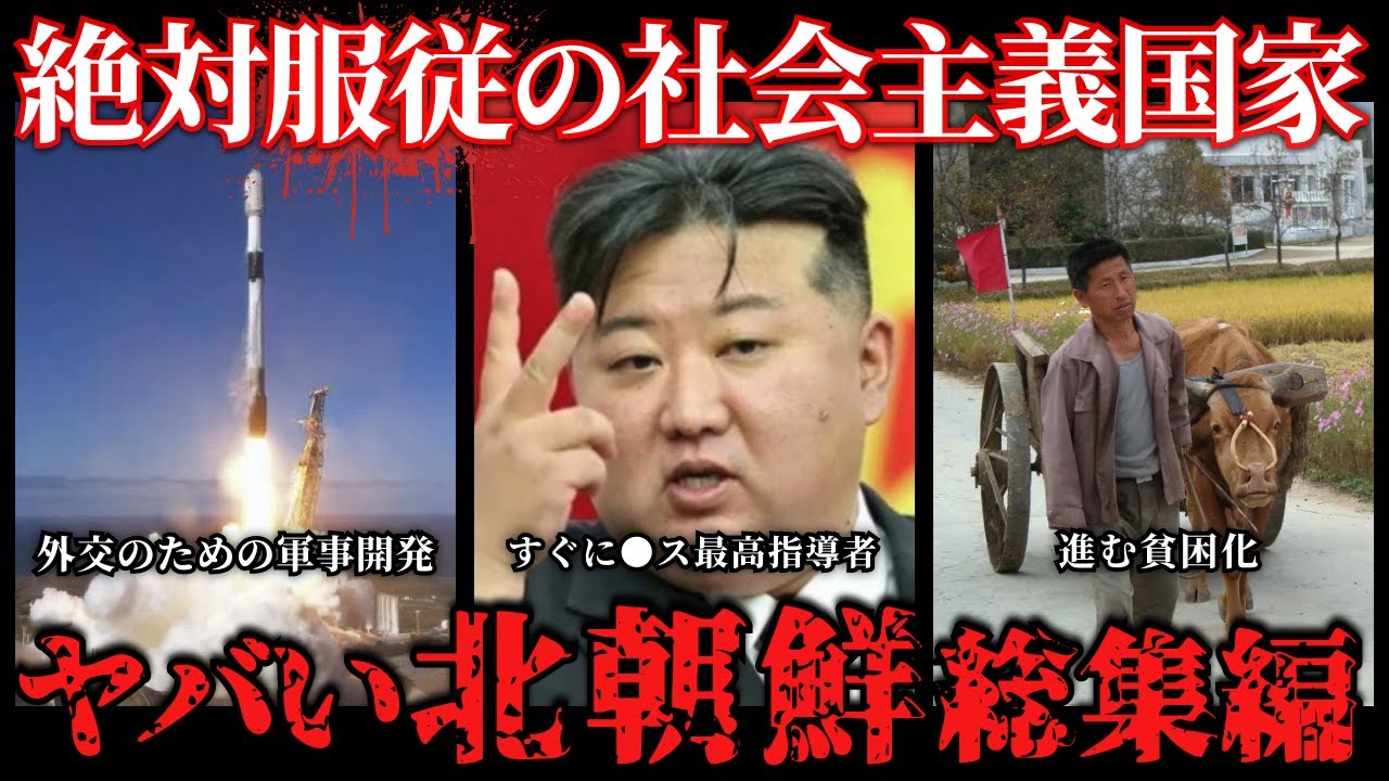【闇深すぎ】北朝鮮の本当の姿&hellip;日本人が知らない衝撃の真実まとめ「作業用/たっくーTVまとめ」