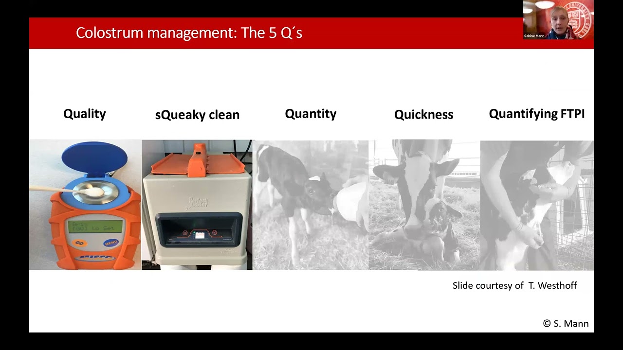 Use of Colostrum to Maximize the Benefits to Your Farm.