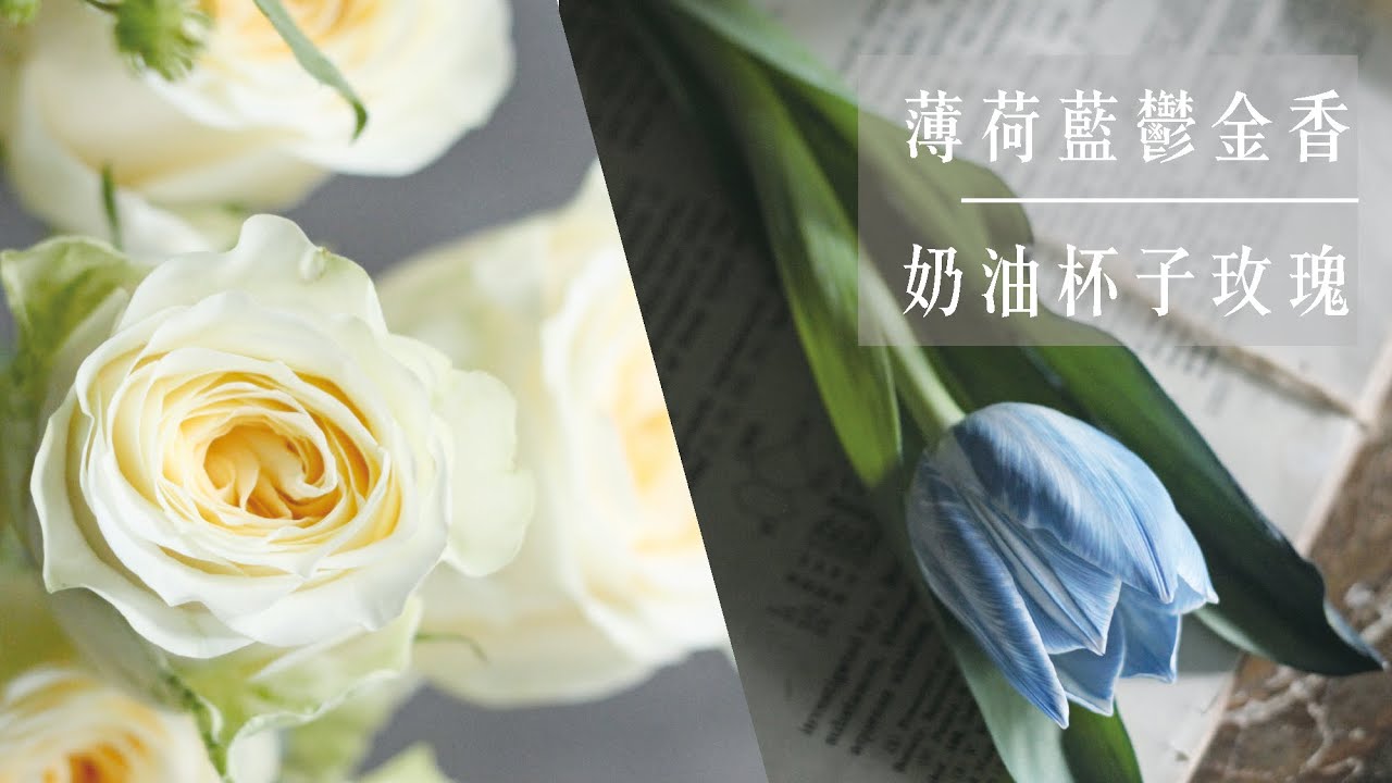 艾瑞兒花藝Ariel's Flower  ▌薄荷藍鬱金香與奶油杯子玫瑰