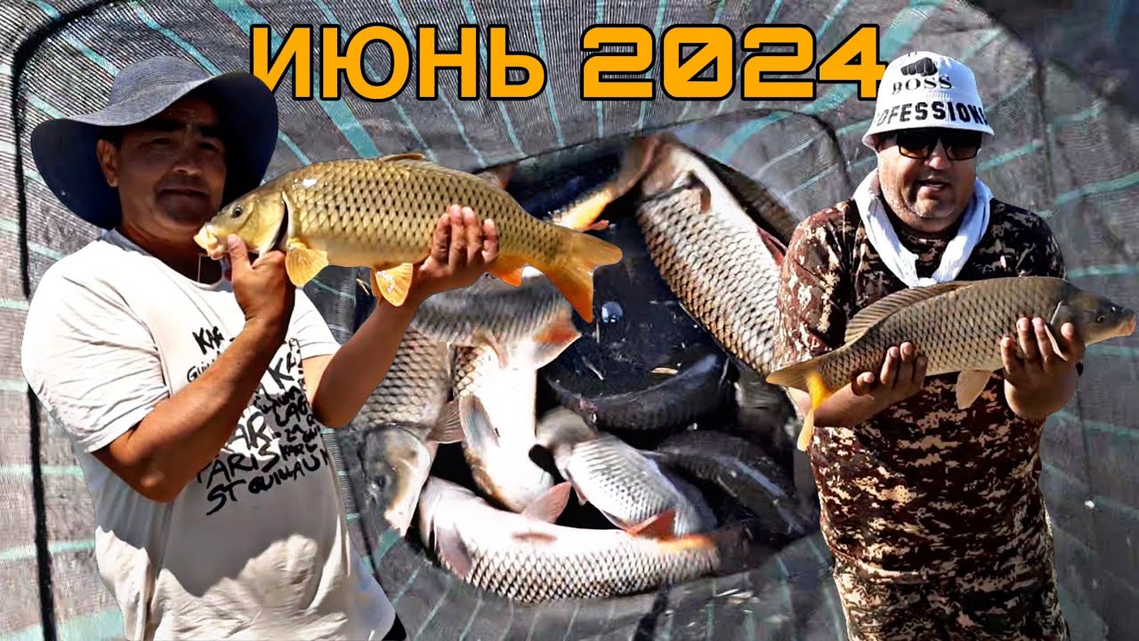 АРНАСАЙ ДЮККЕР ПОПАЛИ НА ЖОР САЗАНА 26.06.2024