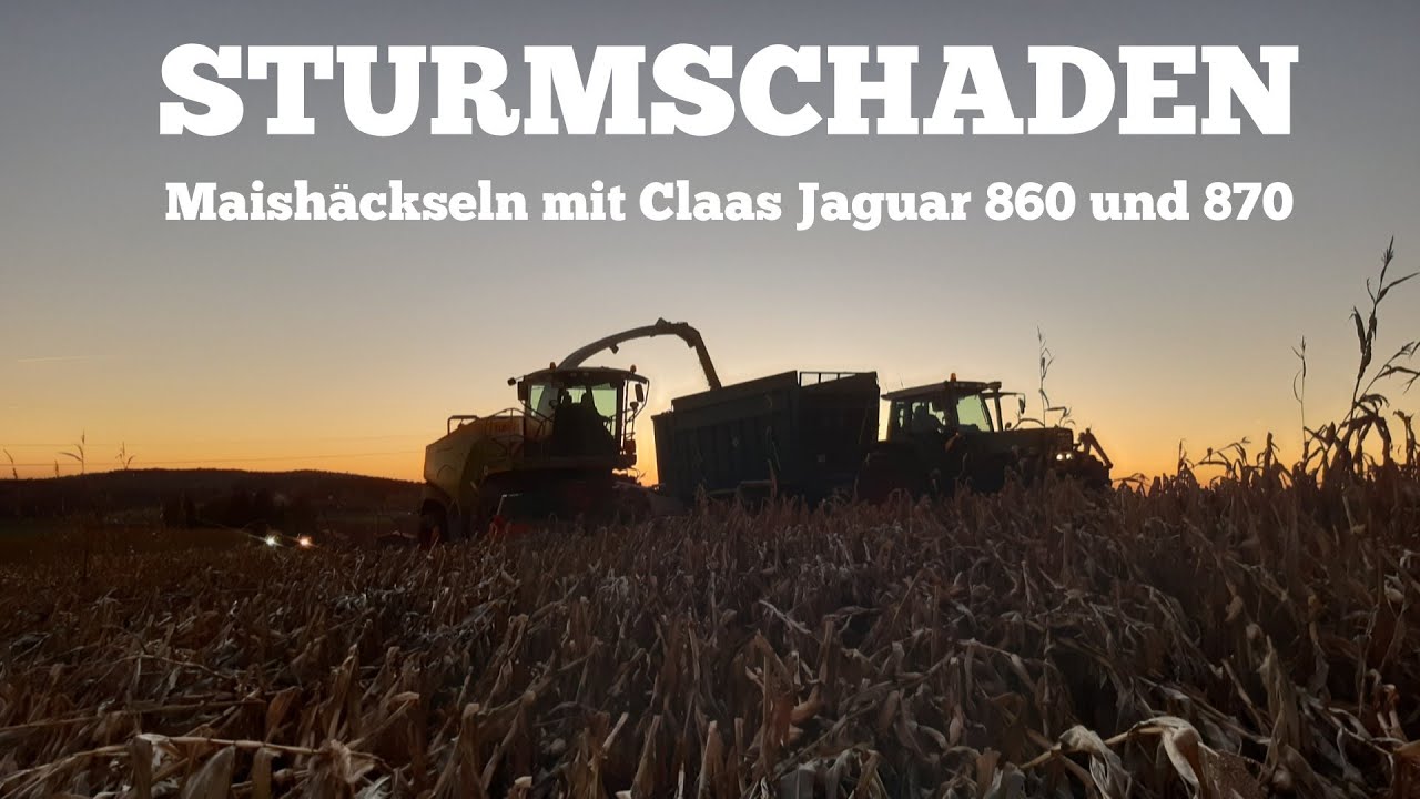 Mais mit Sturmschaden häckseln extrem - Claas Jaguar 860 und 870 - LU Baumer
