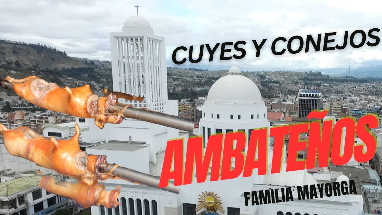 Cuyes y Conejos ASADOS - Ambateños Son los mejores del País