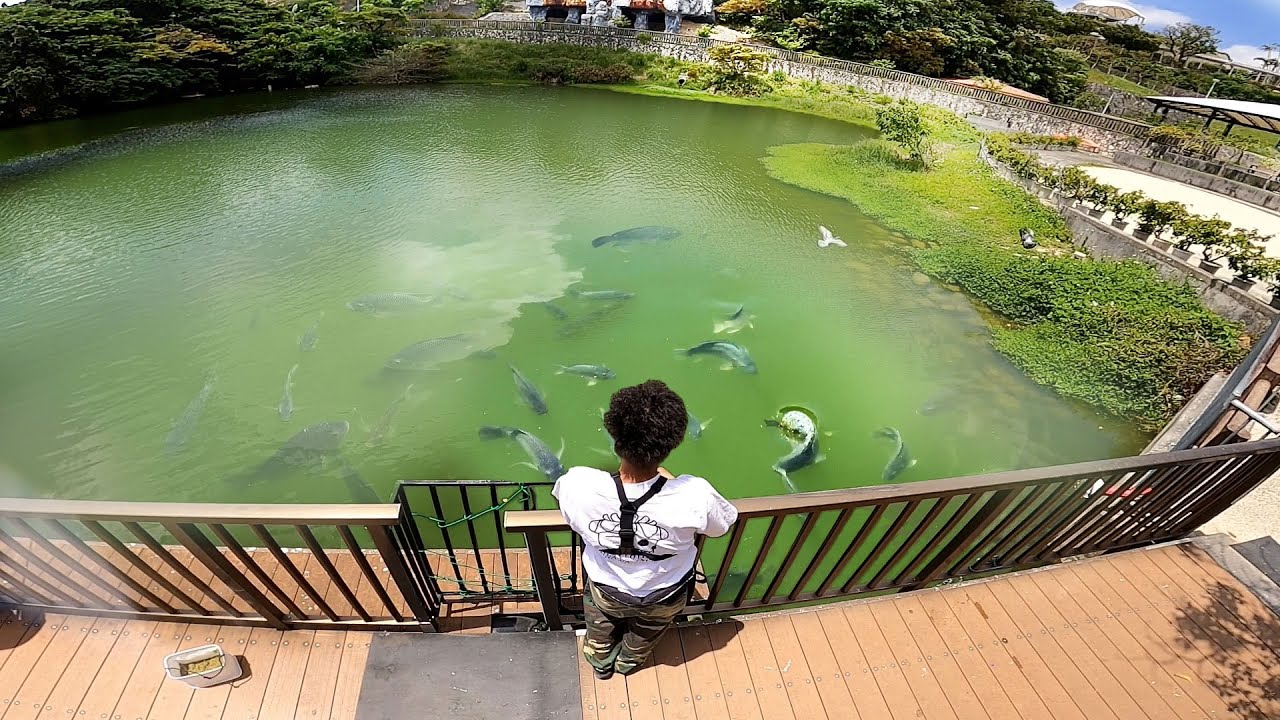 某動物園の絶対に釣りをしてはいけない場所で釣りしてみた【沖縄こどもの国コラボ 前編】