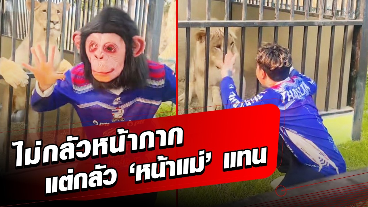 อย่างฮา แม่หนิง แกล้งสิงโต ‘สรพงษ์’ ใส่หน้ากาก-กลับไม่กลัว พอถอดเท่านั้นสะดุ้งโหยง: Khaosod - ข่าวสด