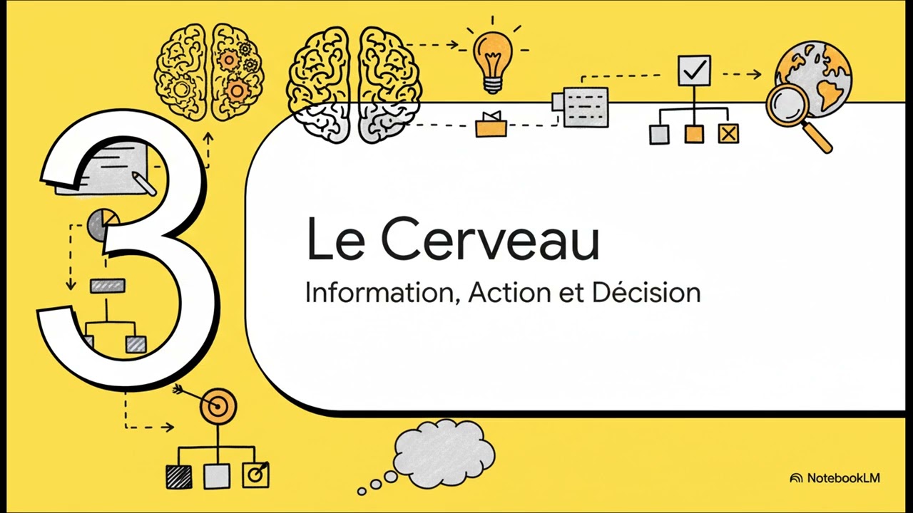 Qu'est-ce que l'enseignement spécifique SIG en Terminale STMG ?