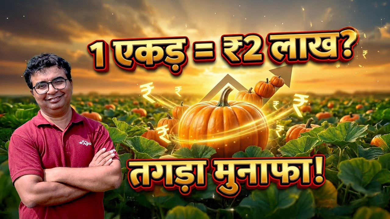कद्दू की वैज्ञानिक खेती से 4–5 किलो का फल उत्पादन | Pumpkin Farming Guide 2026 | AgroStar