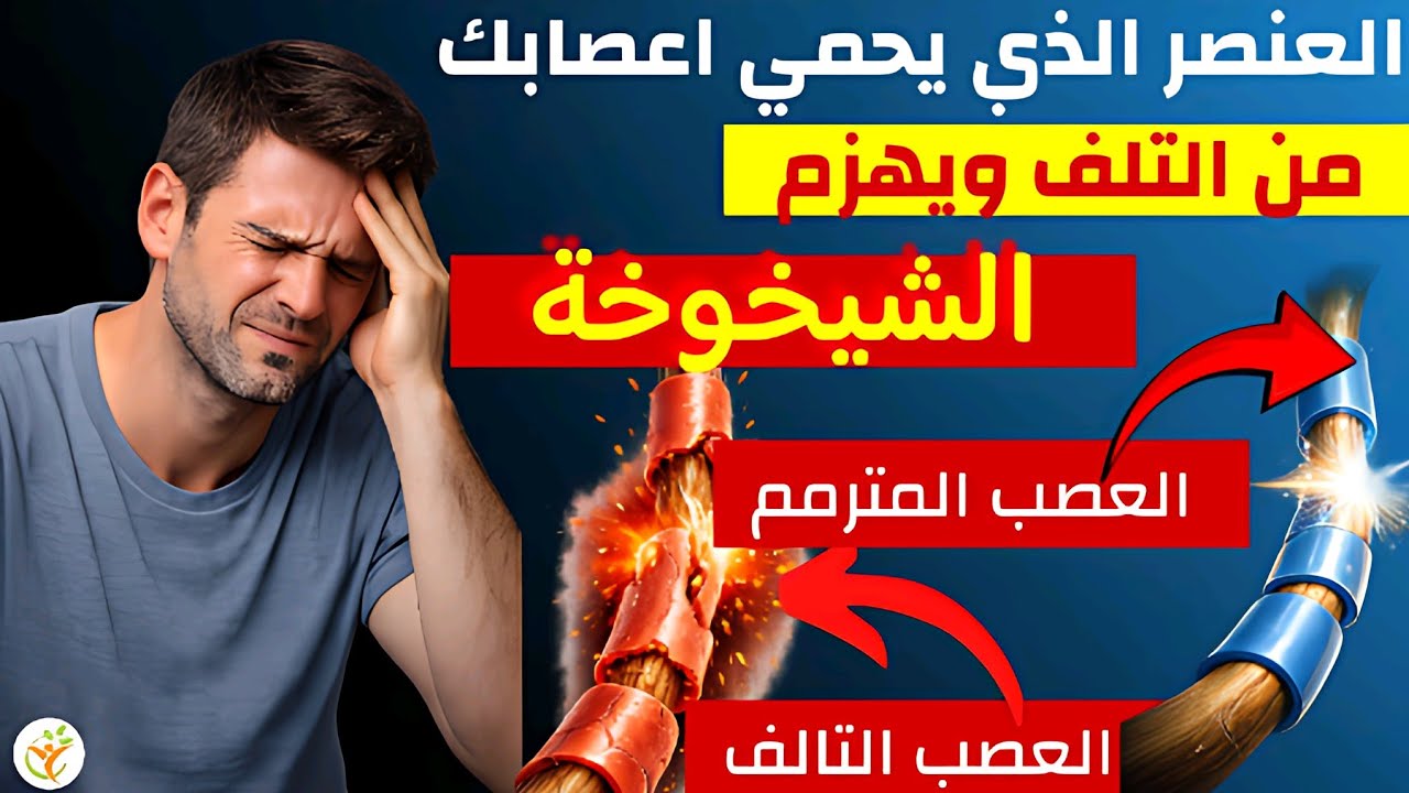 العنصر المنسي: اكتشف الجيش الخفي الذي يحمي أعصابك ويصنع ذكاءك.. صيدلية دماغك التي لا تحتاج دواء!
