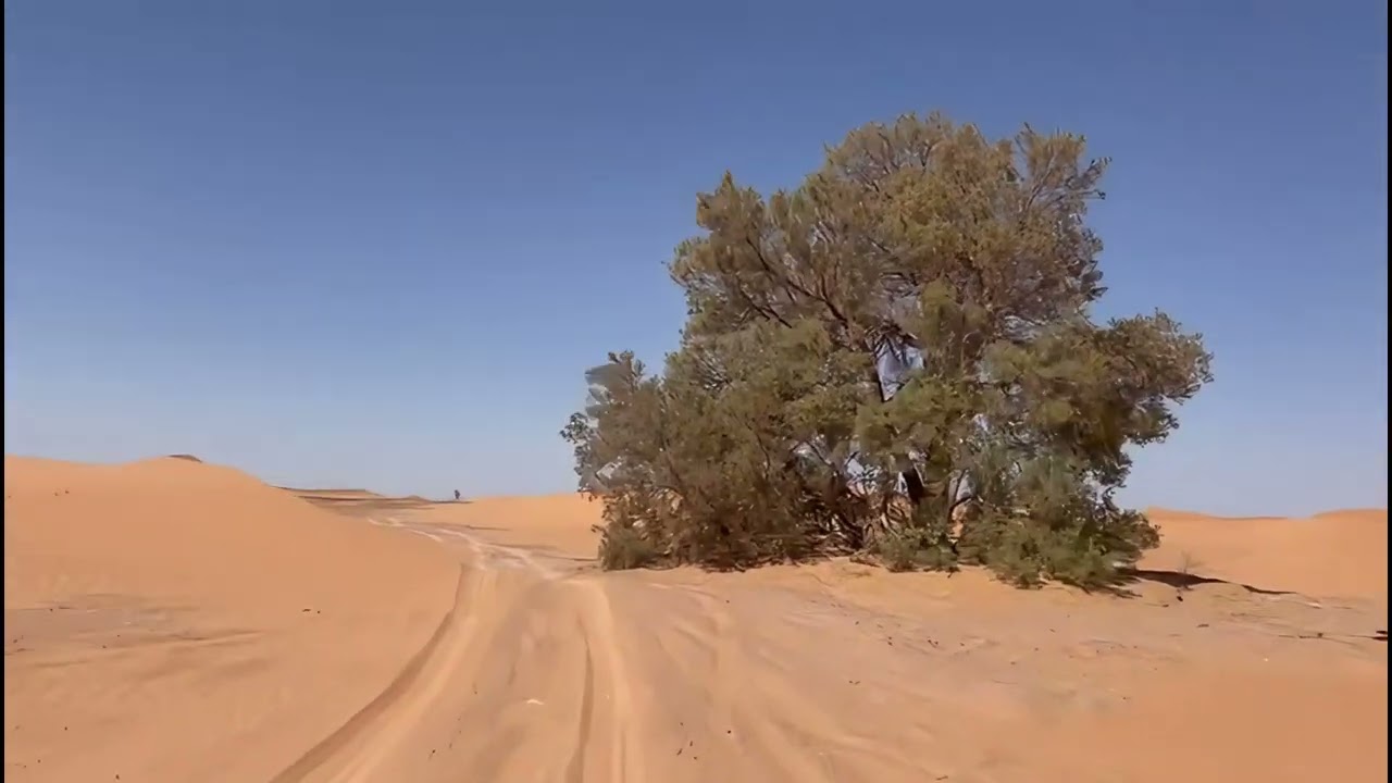 Duster Maroc Challenge 2024