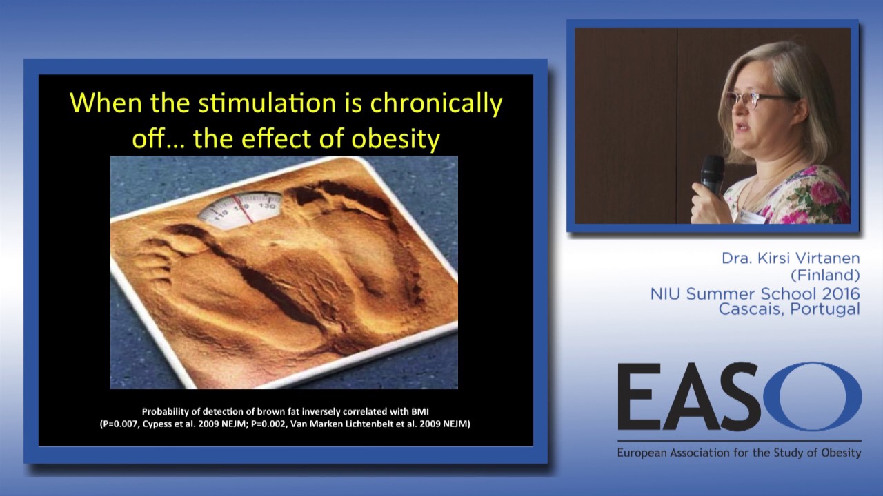Brown adipose tissue in obesity: Importance in humans vs rodents