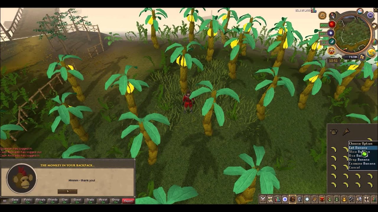RuneScape - Monkey Clue Scroll