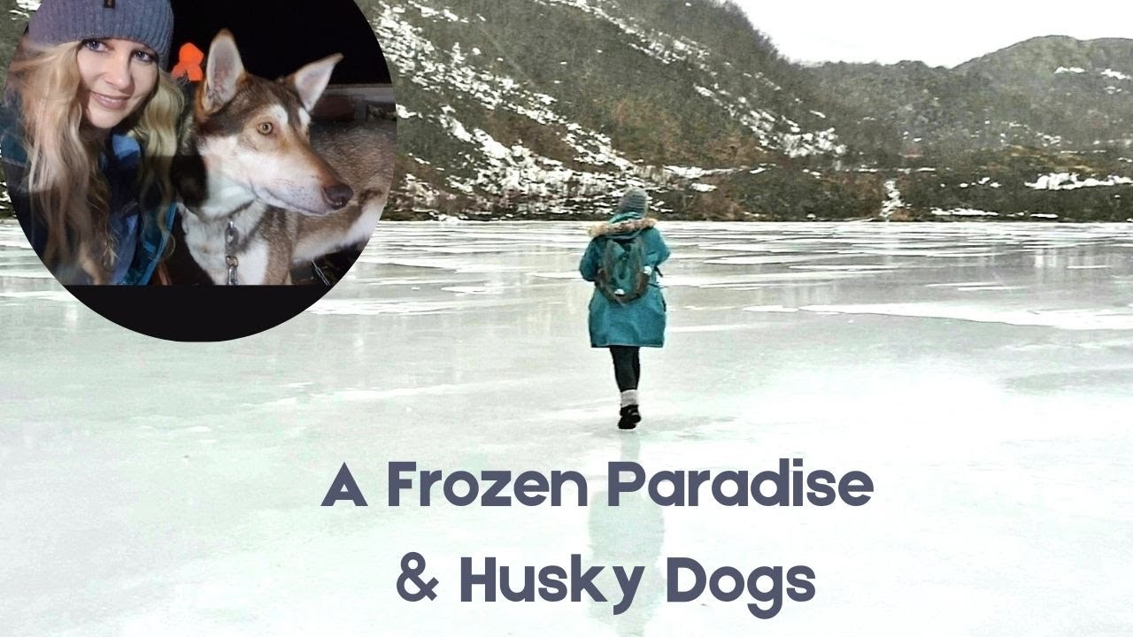 Norway's Arctic Wilderness & Husky Dogs |Tromsø Travel Vlog