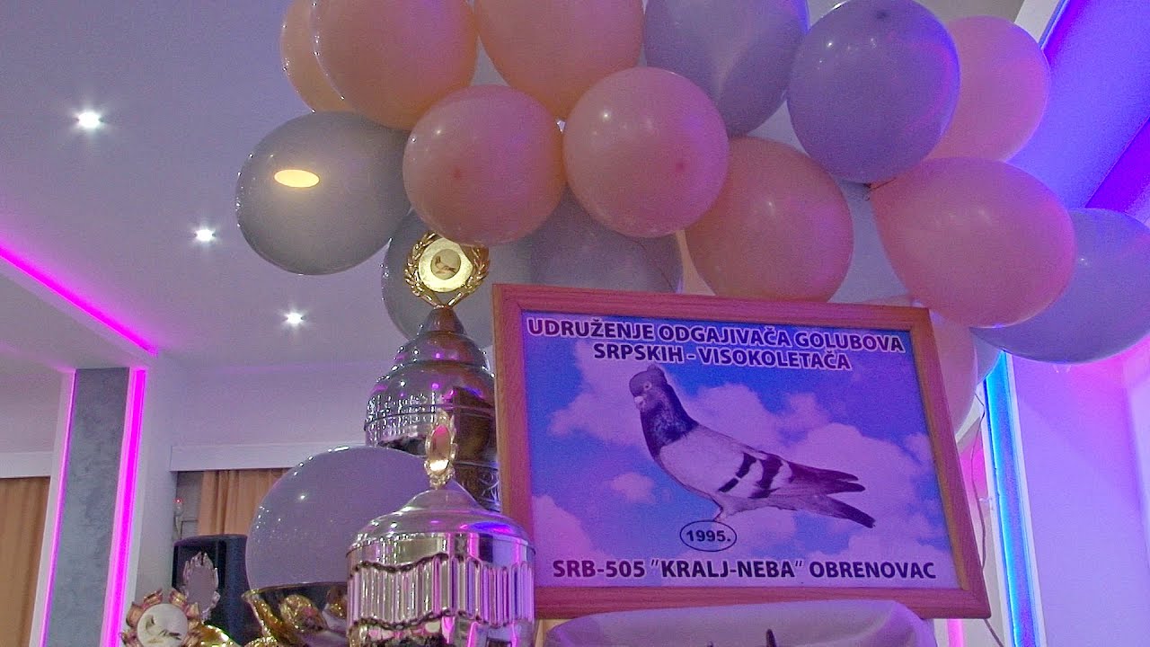 Golubari SRB saveza obeležili još jednu uspešnu sezonu