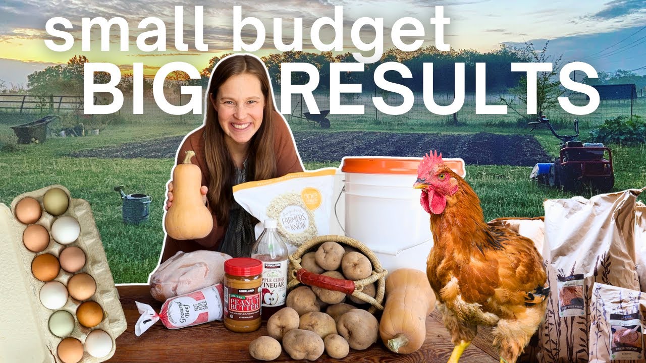 5 Strategies to SAVE on Food Costs!